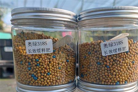 施可丰和奥绿哪个好