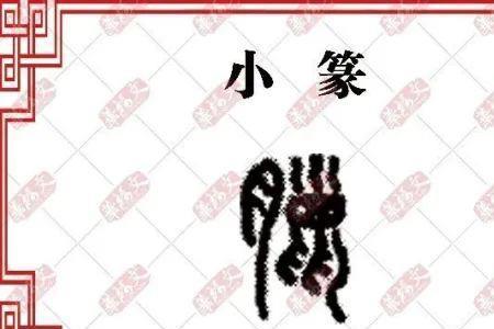 试字繁体