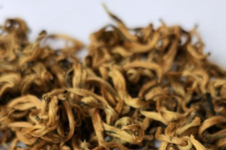 金芽滇红茶与月光白茶哪个好