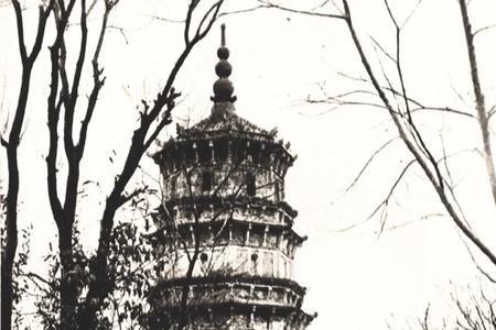 1828年中国发生了什么