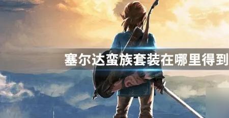 塞尔达第一次换心还是换精力