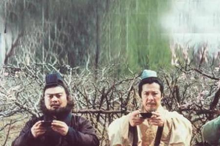 兄弟如手足结局解析