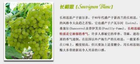蚝湾长相思葡萄酒跟霞多丽区别