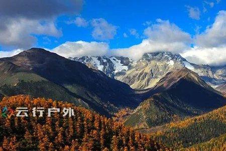 滇川藏是指哪三省
