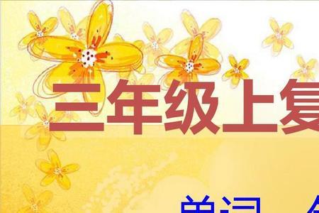yan开头英语单词