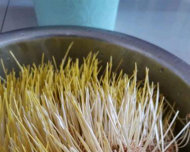 麦芽糖用什么制作最好
