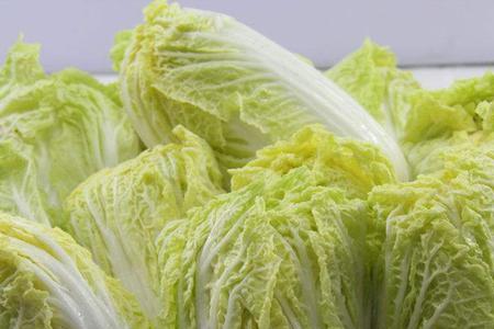 菠菜娃娃菜什么意思