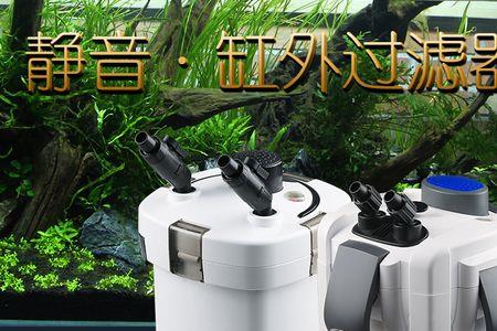 过滤桶一定要放在鱼缸底下吗