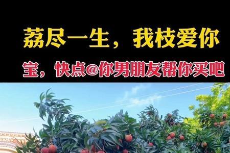男生为什么要女生吃荔枝