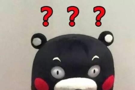 档期满满什么意思