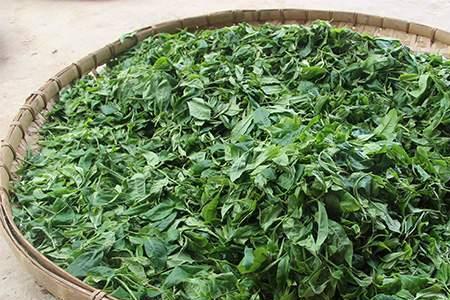 8年的晒青茶能喝么