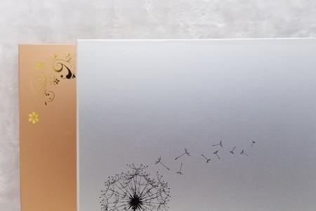 粘胶和插页相册哪个好