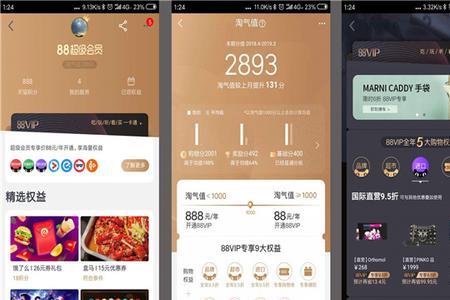 88vip实付是什么意思