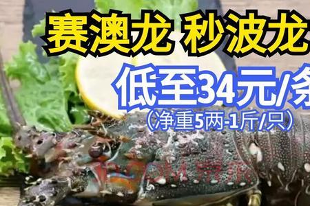 波虾vs澳龙谁肉多