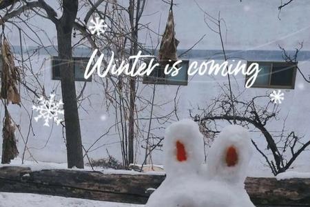 雪兔怎么堆