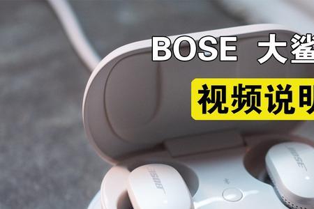 bose大鲨进水了自己怎么修