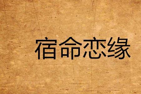 男女之间的缘分叫什么