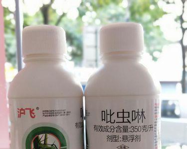 吡虫啉能在花期使用吗