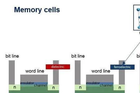 FLASH效应的生物学机制