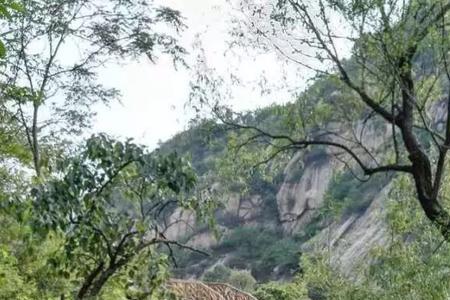 神堂峪栈道需要预约吗