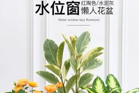 7级风能吹落花盆吗