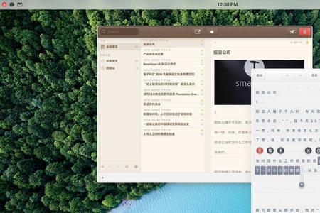 苹果可以运行dex吗