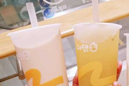优雅的奶茶怎么样