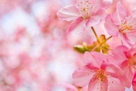 运去时来的意思