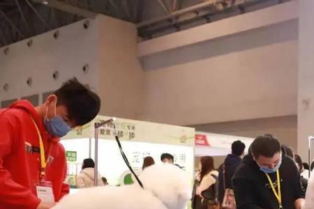 深圳宠物展2022取消了吗