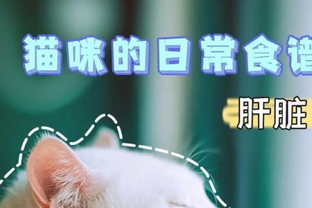 给猫咪煮的猪肝煮多长时间