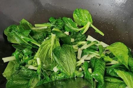 小白菜烀咸菜的做法