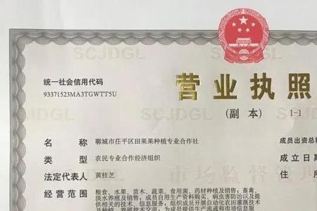 怎样查询营业执照下的摩托车辆