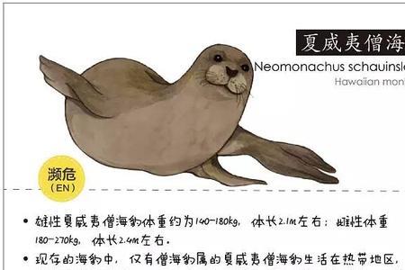 为什么海豹小时候有毛