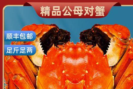 阳澄湖的头蟹是什么意思