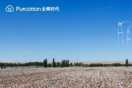 全棉时代网络营销战略的重要性