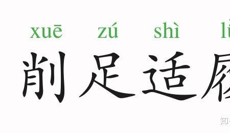 肖足适履中履的意思是什么