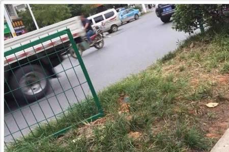 防护栏坏了怎么维修