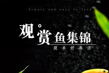 鱼线墨绿色好还是酒红色好