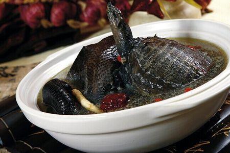 甲鱼炖火锅要焯水吗