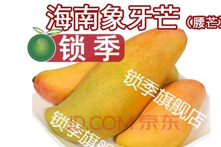 腰芒和象牙芒的区别