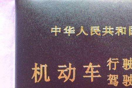 南宁市d证报考条件及费用