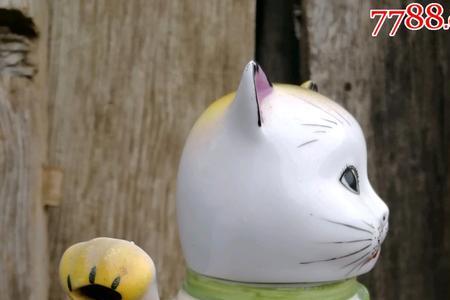 猫罐是什么