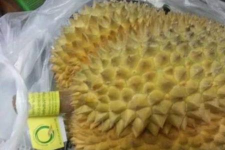 榴莲放两天还没裂开皮都黄了