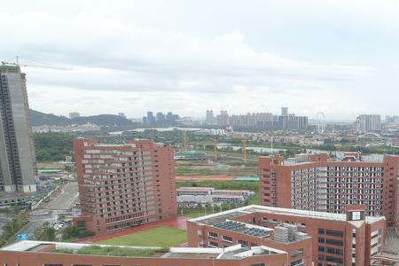 顺德有多少间中学