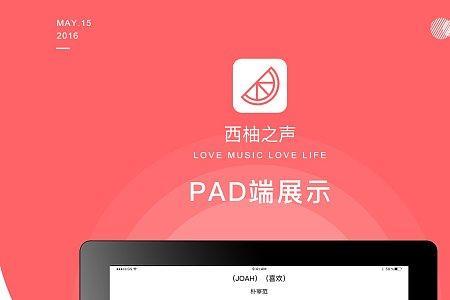 西柚加速app好用吗