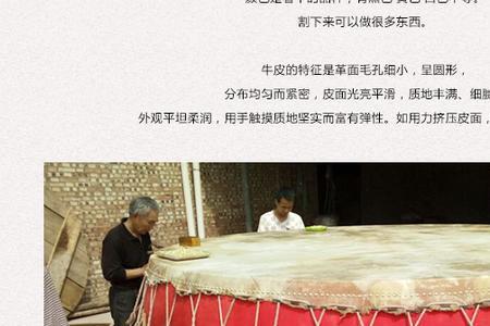 大镲和唢呐谁更厉害