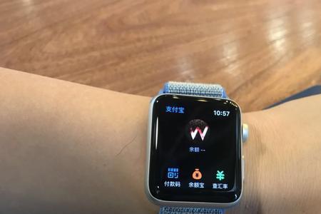 watch和手机pay只能一个用吗