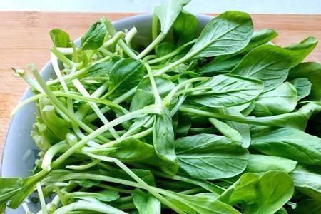 挖菜什么摘菜什么