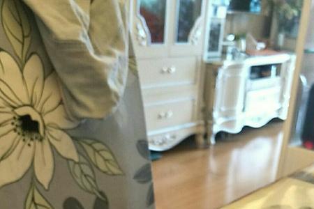 绿豆长成树的样子