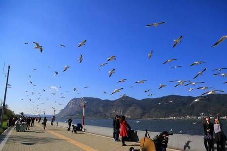 2022年昆明海埂大坝关闭吗